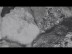 New video: Valerinne – Terra Amata