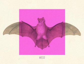 Dimitri’s Bats – Mess EP